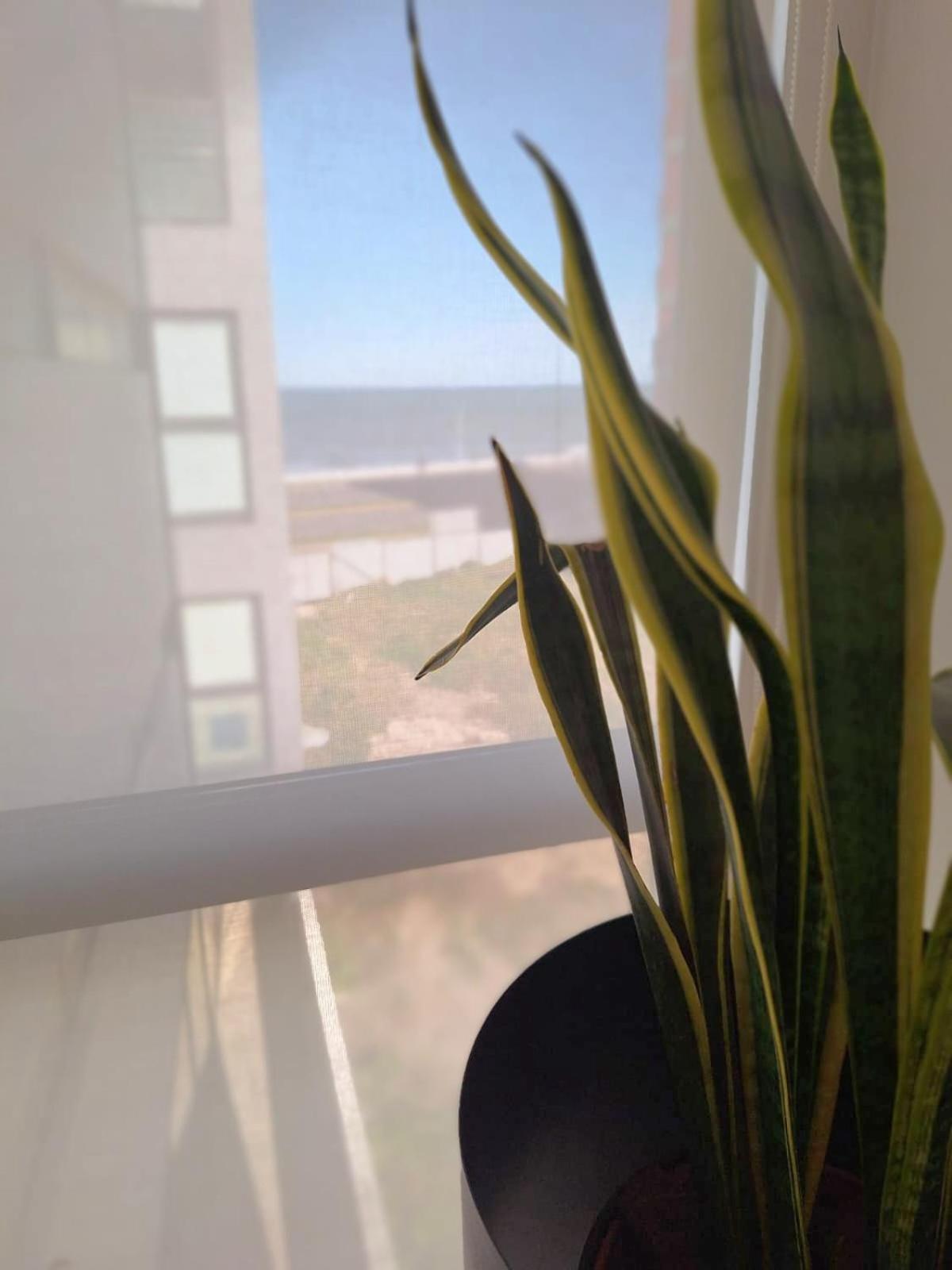 Apartamento Depto Premium Frente Al Mar, Cochera Y Piscina!! Mar del Plata